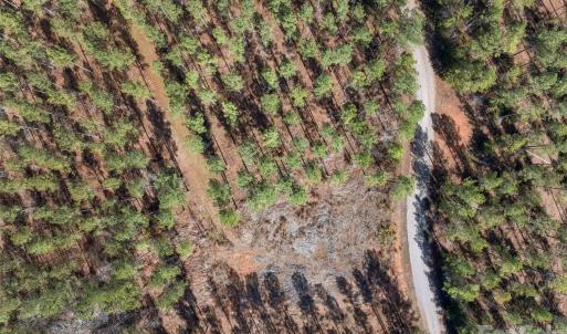 Photo #41 of Peacehaven, McConnells, SC