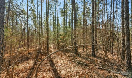 Photo #30 of Peacehaven, McConnells, SC