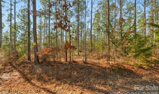 Photo #10 of Peacehaven, McConnells, SC