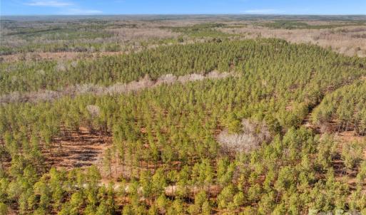 Photo #7 of Peacehaven, McConnells, SC