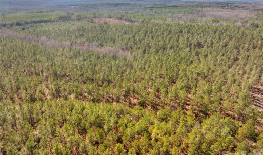 Photo #37 of Peacehaven, McConnells, SC