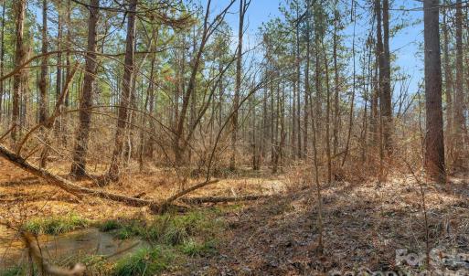 Photo #14 of Peacehaven, McConnells, SC