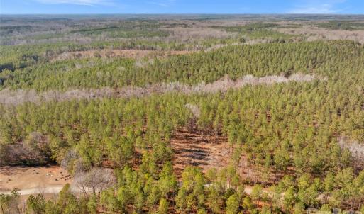 Photo #38 of Peacehaven, McConnells, SC