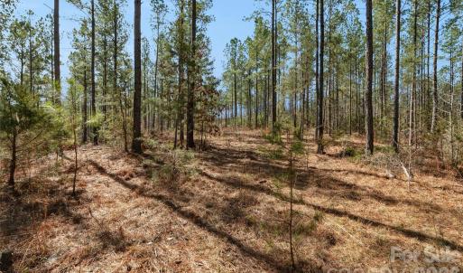 Photo #27 of Peacehaven, McConnells, SC