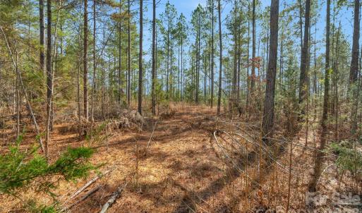 Photo #31 of Peacehaven, McConnells, SC