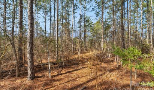 Photo #28 of Peacehaven, McConnells, SC