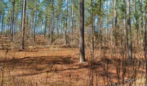 Photo #11 of Peacehaven, McConnells, SC