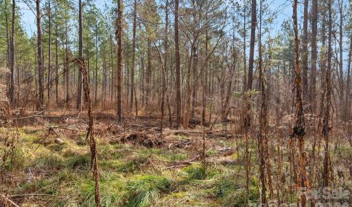 Photo #15 of Peacehaven, McConnells, SC