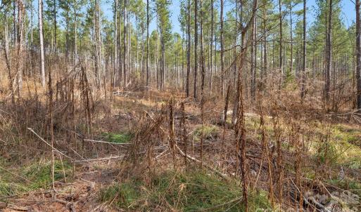 Photo #17 of Peacehaven, McConnells, SC