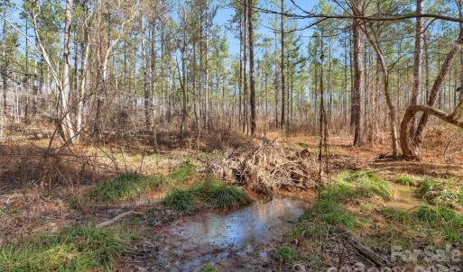 Photo #16 of Peacehaven, McConnells, SC