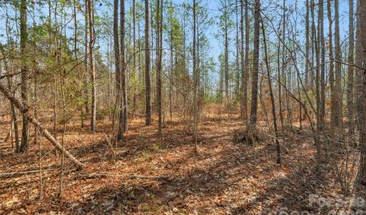 Photo #29 of Peacehaven, McConnells, SC