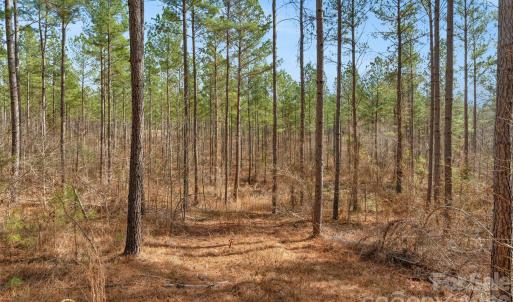 Photo #18 of Peacehaven, McConnells, SC