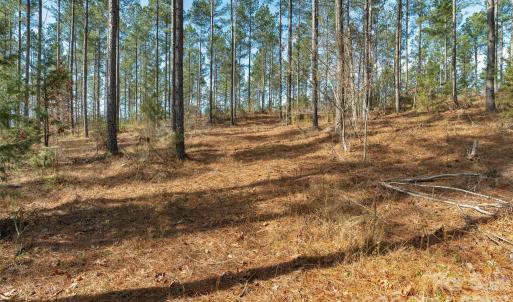 Photo #19 of Peacehaven, McConnells, SC