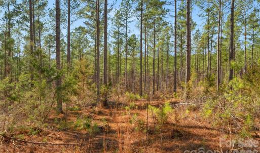 Photo #3 of Peacehaven, McConnells, SC