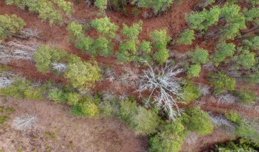 Photo #42 of Peacehaven, McConnells, SC