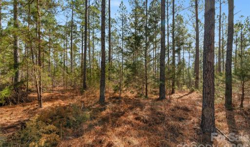 Photo #25 of Peacehaven, McConnells, SC