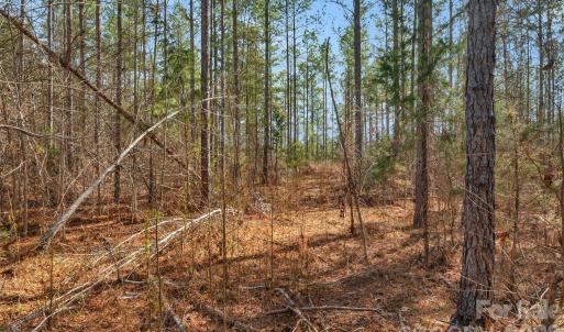 Photo #33 of Peacehaven, McConnells, SC