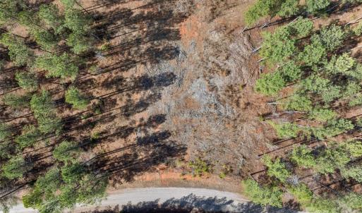 Photo #44 of Peacehaven, McConnells, SC