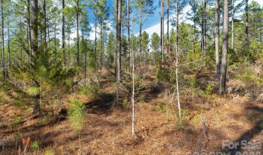 Photo #23 of Peacehaven, McConnells, SC