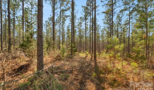 Photo #4 of Peacehaven, McConnells, SC