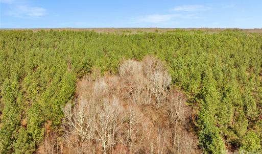 Photo #40 of Peacehaven, McConnells, SC