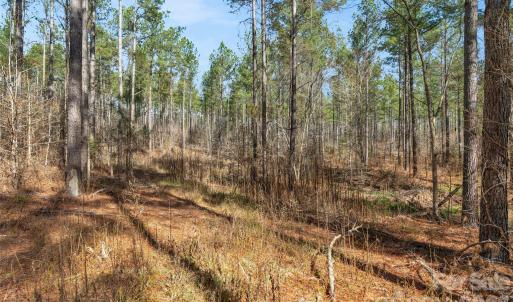 Photo #13 of Peacehaven, McConnells, SC