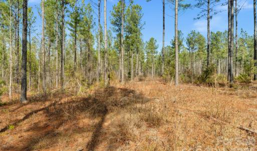 Photo #35 of Peacehaven, McConnells, SC