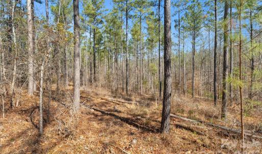 Photo #22 of Peacehaven, McConnells, SC