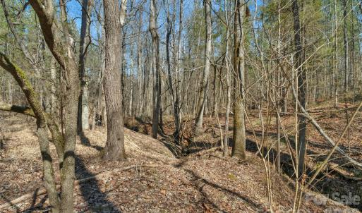 Photo #26 of Peacehaven, McConnells, SC