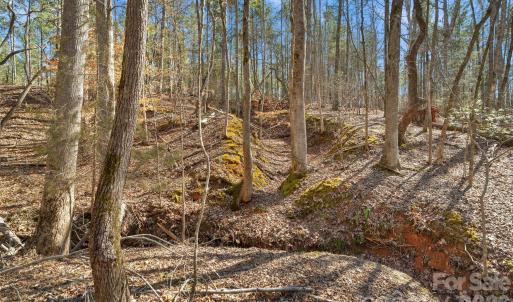 Photo #39 of Peacehaven, McConnells, SC