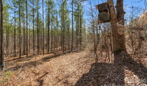 Photo #14 of Peacehaven, McConnells, SC