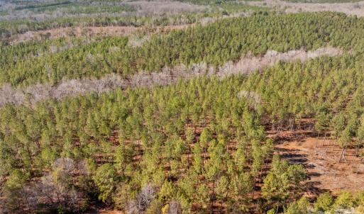 Photo #43 of Peacehaven, McConnells, SC