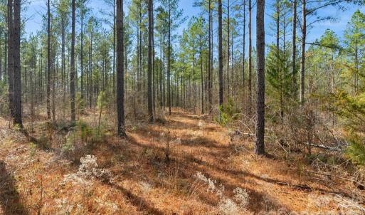 Photo #3 of Peacehaven, McConnells, SC