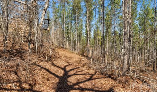 Photo #16 of Peacehaven, McConnells, SC