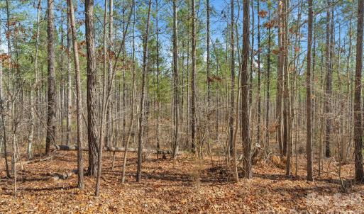 Photo #11 of Peacehaven, McConnells, SC