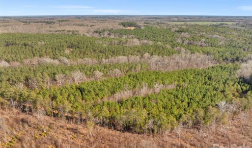 Photo #30 of Peacehaven, McConnells, SC