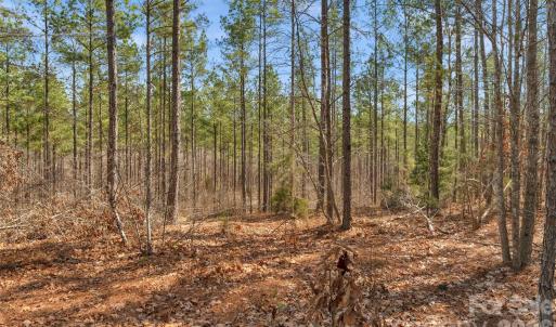 Photo #28 of Peacehaven, McConnells, SC