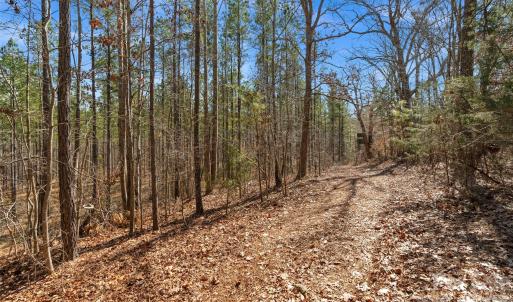 Photo #15 of Peacehaven, McConnells, SC