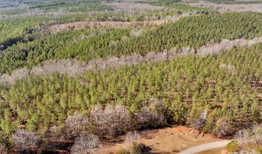 Photo #41 of Peacehaven, McConnells, SC