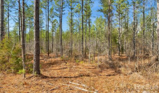 Photo #37 of Peacehaven, McConnells, SC