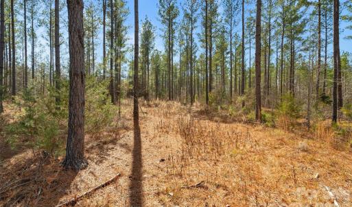 Photo #8 of Peacehaven, McConnells, SC