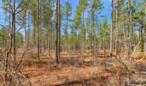 Photo #13 of Peacehaven, McConnells, SC