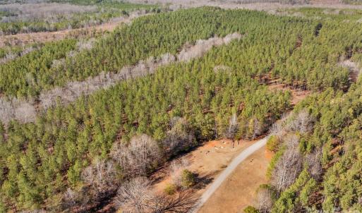 Photo #42 of Peacehaven, McConnells, SC