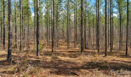 Photo #21 of Peacehaven, McConnells, SC