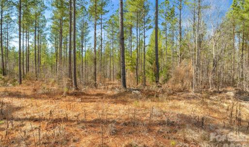 Photo #4 of Peacehaven, McConnells, SC