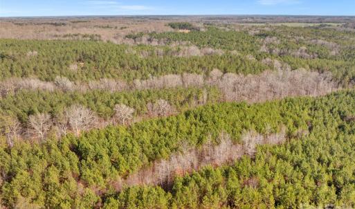 Photo #19 of Peacehaven, McConnells, SC