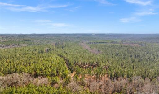 Photo #17 of Peacehaven, McConnells, SC