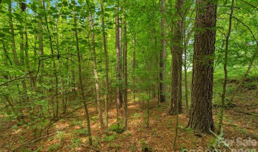 Photo #15 of Lucy Short Cut, Marshville, NC