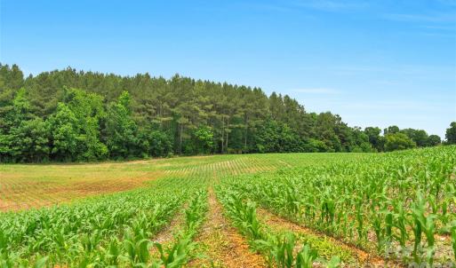 Photo #11 of Lucy Short Cut, Marshville, NC