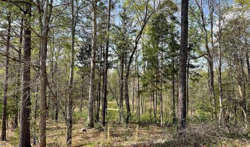 Photo #4 of 2409 Falling Leaf, Rock Hill, SC